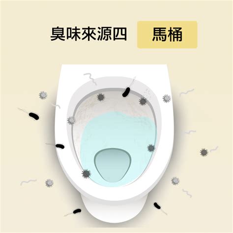 廁所異味處理|廁所、垃圾桶等家中臭味源該如何除臭？懶人包圖解，。